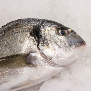 Deliver Fish - Shore To Door