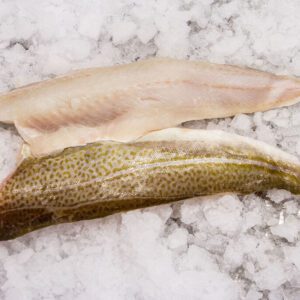 Deliver Fish - Shore To Door