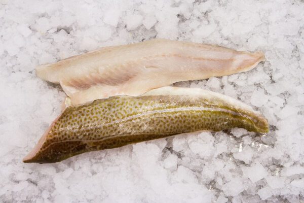 Deliver Fish - Shore To Door