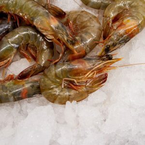 Deliver Fish - Shore To Door