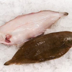Deliver Fish - Shore To Door