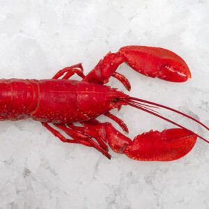 Deliver Fish - Shore To Door