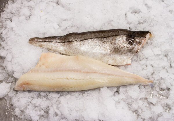 Deliver Fish - Shore To Door