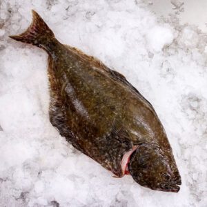 Deliver Fish - Shore To Door