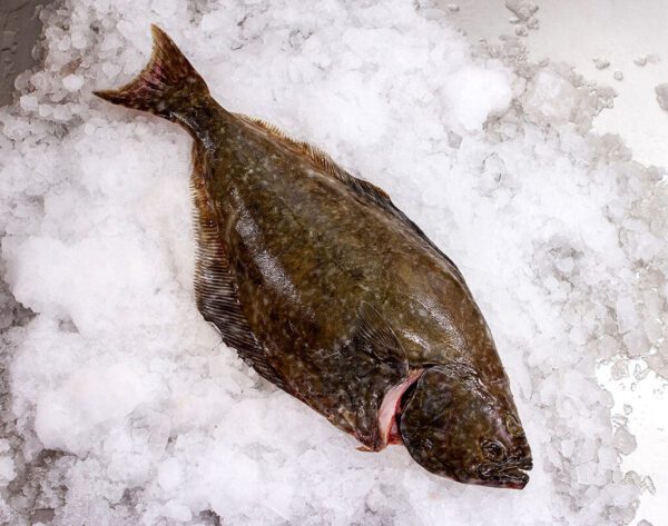 Deliver Fish - Shore To Door