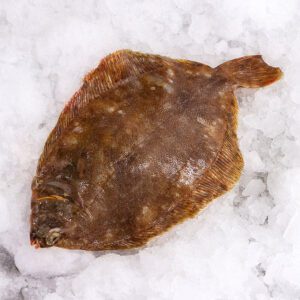 Deliver Fish - Shore To Door
