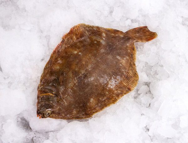 Deliver Fish - Shore To Door