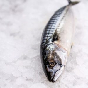 Deliver Fish - Shore To Door