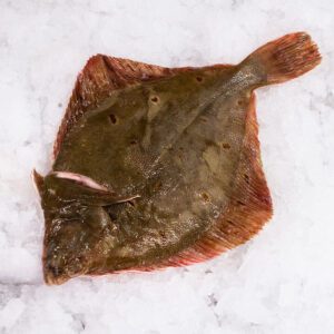 Deliver Fish - Shore To Door