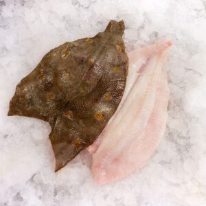 Deliver Fish - Shore To Door