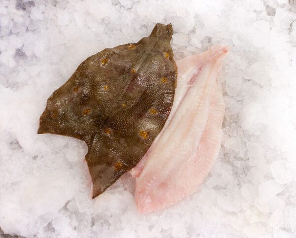 Deliver Fish - Shore To Door