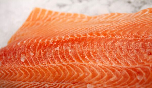 Deliver Fish - Shore To Door