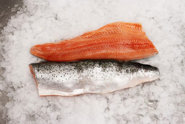 Deliver Fish - Shore To Door