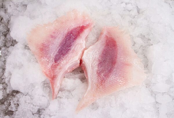 Deliver Fish - Shore To Door