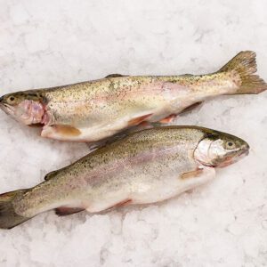 Deliver Fish - Shore To Door