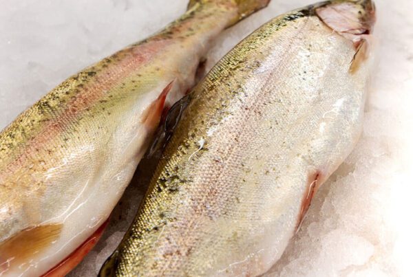 Deliver Fish - Shore To Door