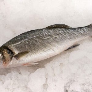 Deliver Fish - Shore To Door