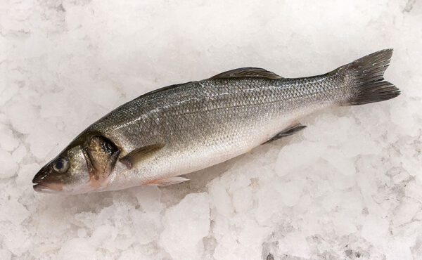 Deliver Fish - Shore To Door