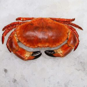 Deliver Fish - Shore To Door