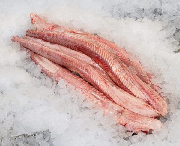 Dog Fish £11.50 per kilo (Subject to availability)