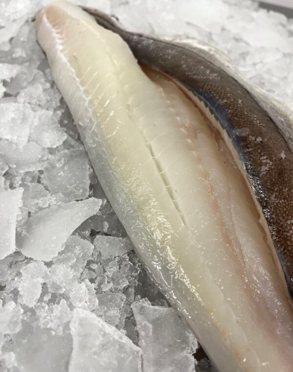 Haddock Fillet £20.00 per kilo