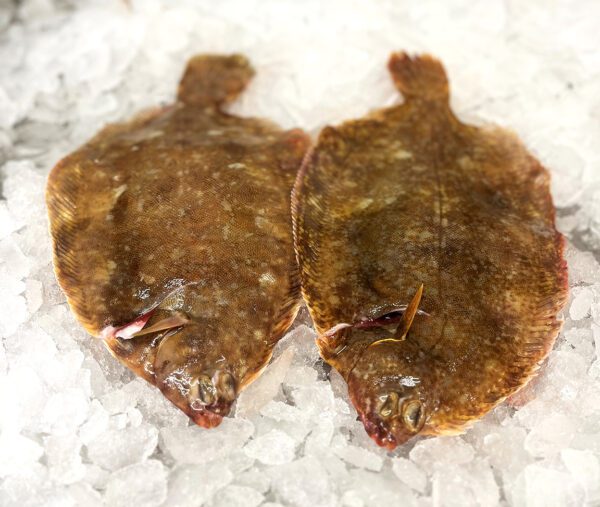 Whole Lemon Sole £16.50 per kilo - Image 2
