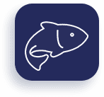 Deliver Fish - Shore To Door