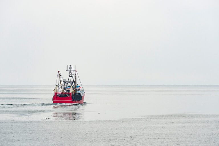 Deliver Fish - Shore To Door